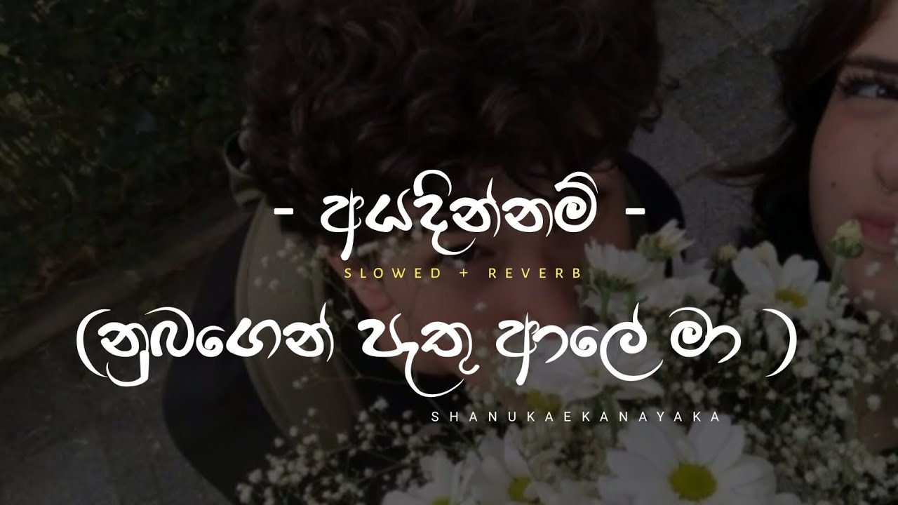 Ayadinnam perfectly slowed and reverbed | Ayadinnam Nubagen Ma Sama | Shanuka Ekanayaka |