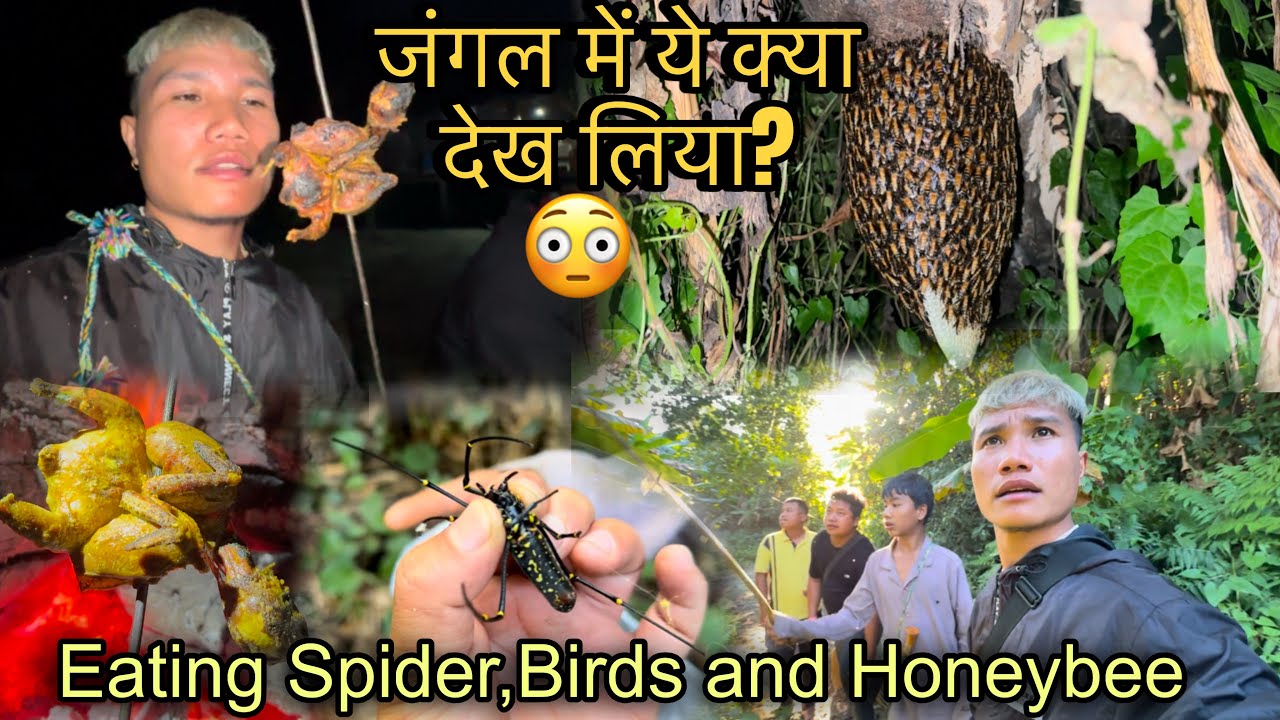 जंगल में ये क्या देख लिया?😳 Eating Spider, Birds and Honeybee in Jungle🤤 Life in Jungle✌️
