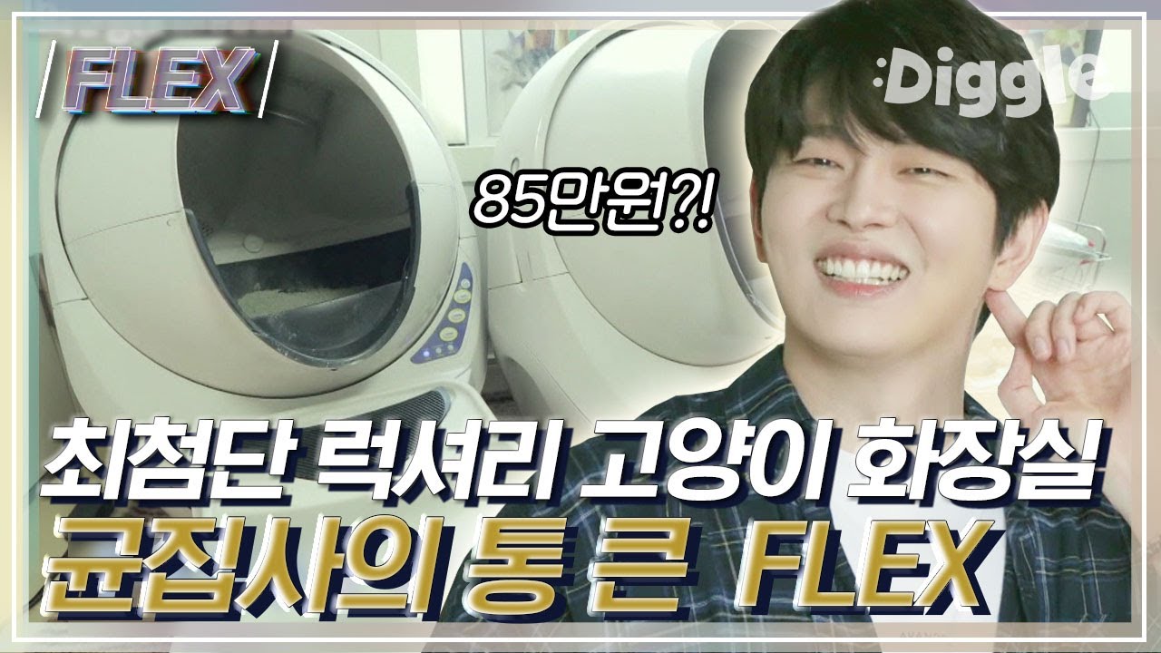 [#FLEX] 박나래도 이용하고 싶은 초호화 고양이 화장실 ㅋㅋㅋ 이정도면 고양이 집에 윤균상이 얹혀사는 중☆ 우리집 화장실보다 좋다,, │#신박한정리 #Diggle