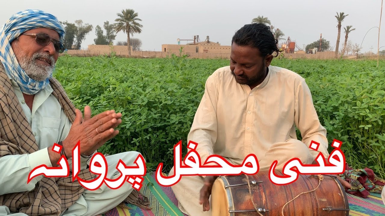Saraiki funny song  by parwana @darwishkhan