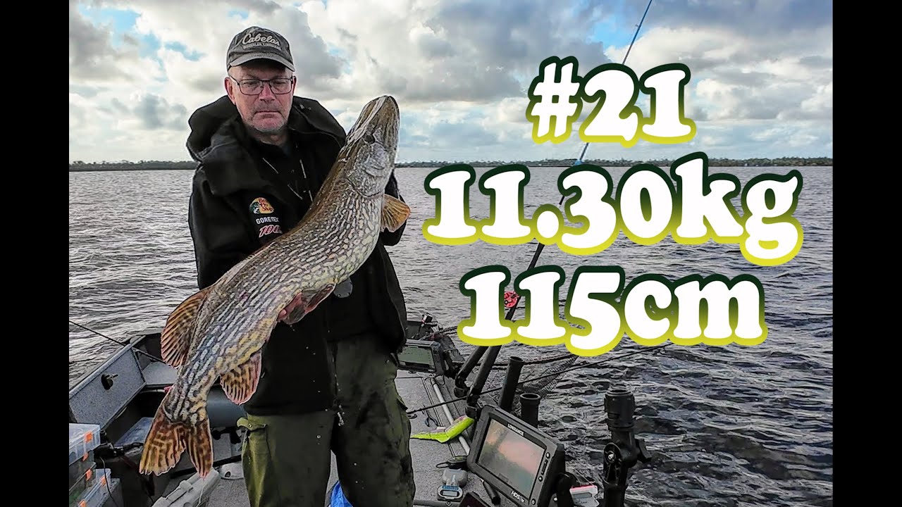 Gädda 10kg+ del 21, 11.30kg