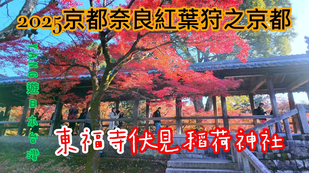 2025京都奈良紅葉狩之京都東福寺伏見稻荷神社