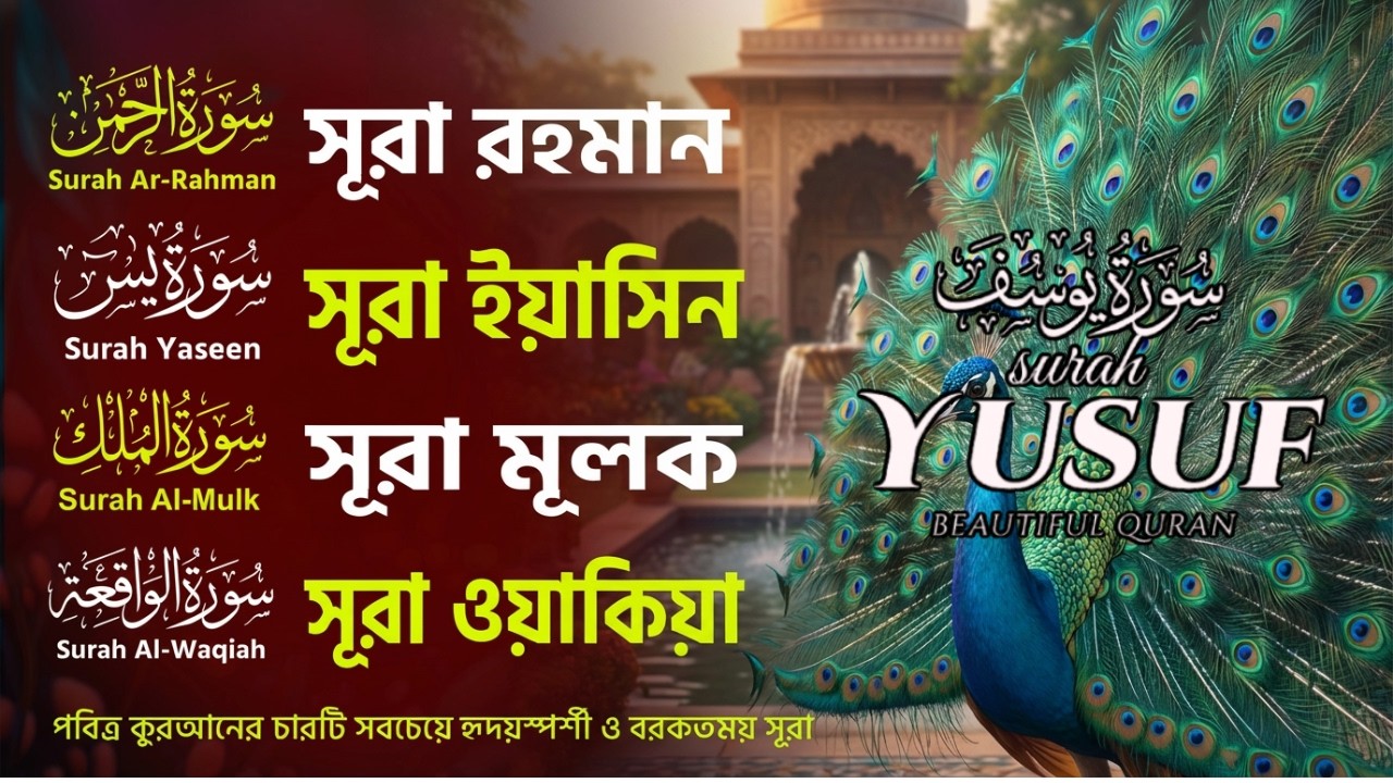মন জুড়ানো তেলাওয়াত | সূরা ইয়াসিন, রহমান, মূলক ও ওয়াকিয়া | Quran Tilawat | Ala Aqeel