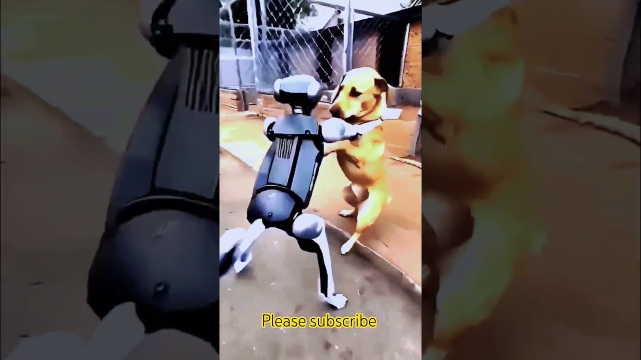 Dog Vs robot dog reaction #dogvsrobot #robotdogs #animalreaction #dogreacts #roboticdog
