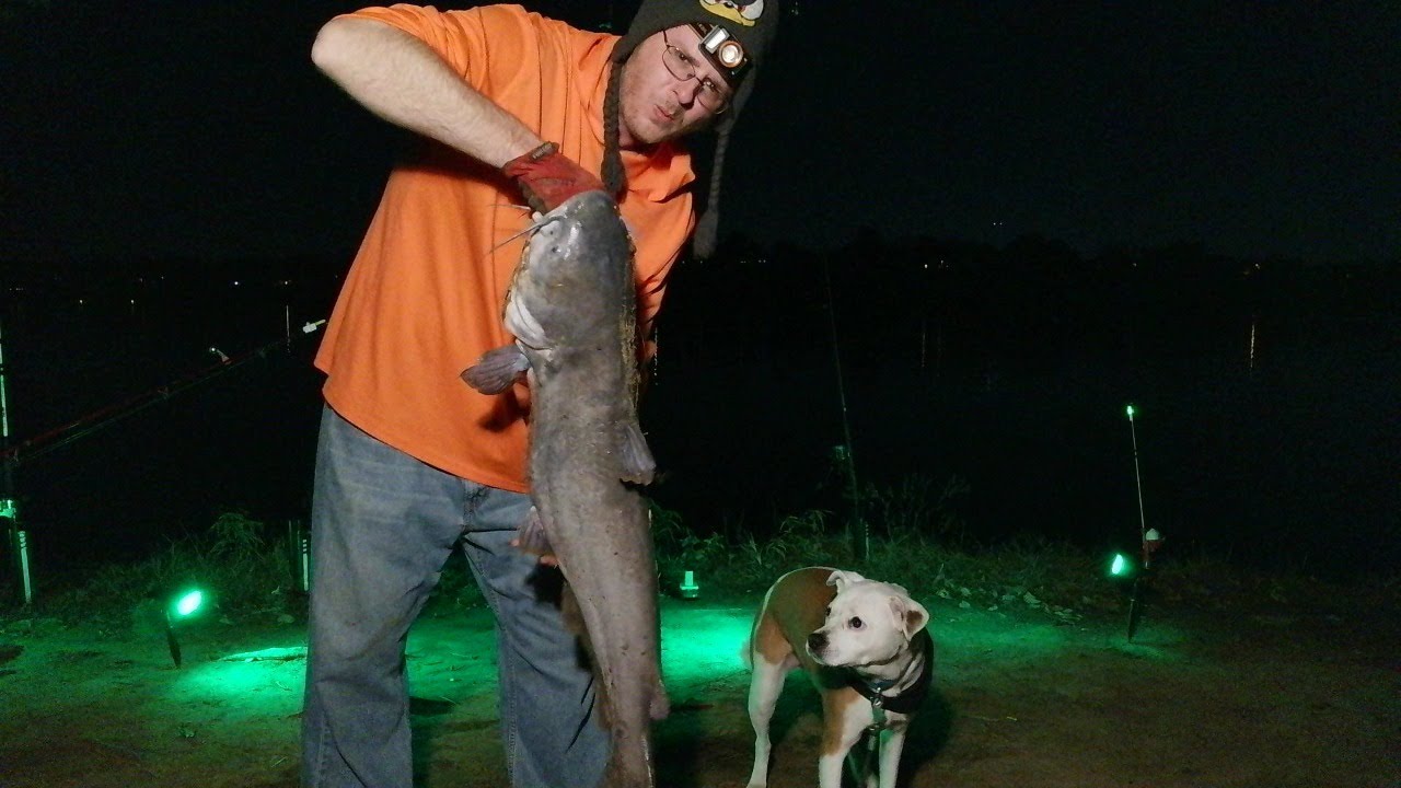 Fishing For Catfish At Old Hickory Lake With Bella Fish! 