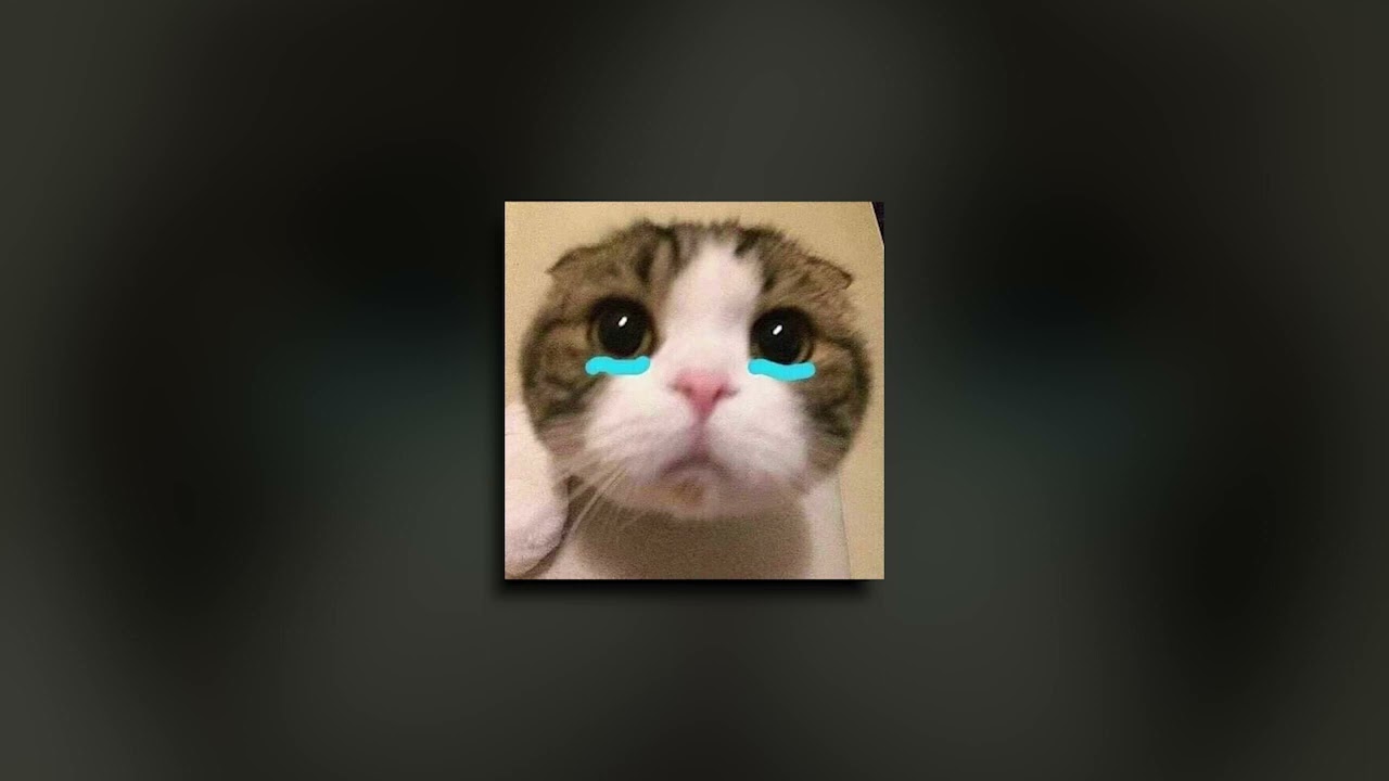 If we ever meet again (Sped up)