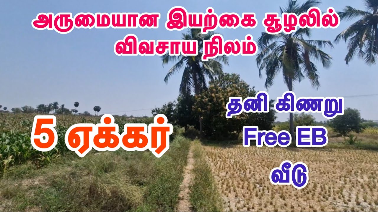 ID-1019 🌴அருமையான இயற்கை சூழலில் விவசாய நிலம் #trending #farmland #viral #realestate #agriland