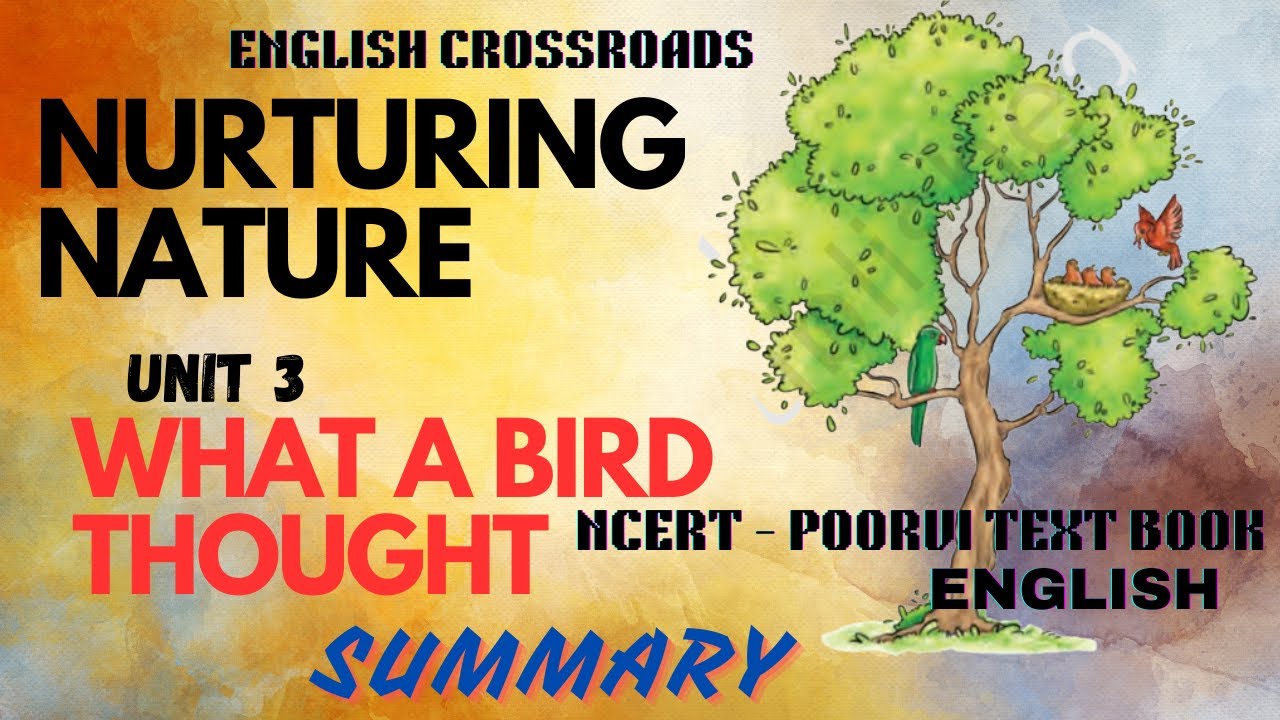 Class 6 NCERT Poorvi English OF NURTURING NATURE | Unit 3 'What a Bird Thought' SUMMARY