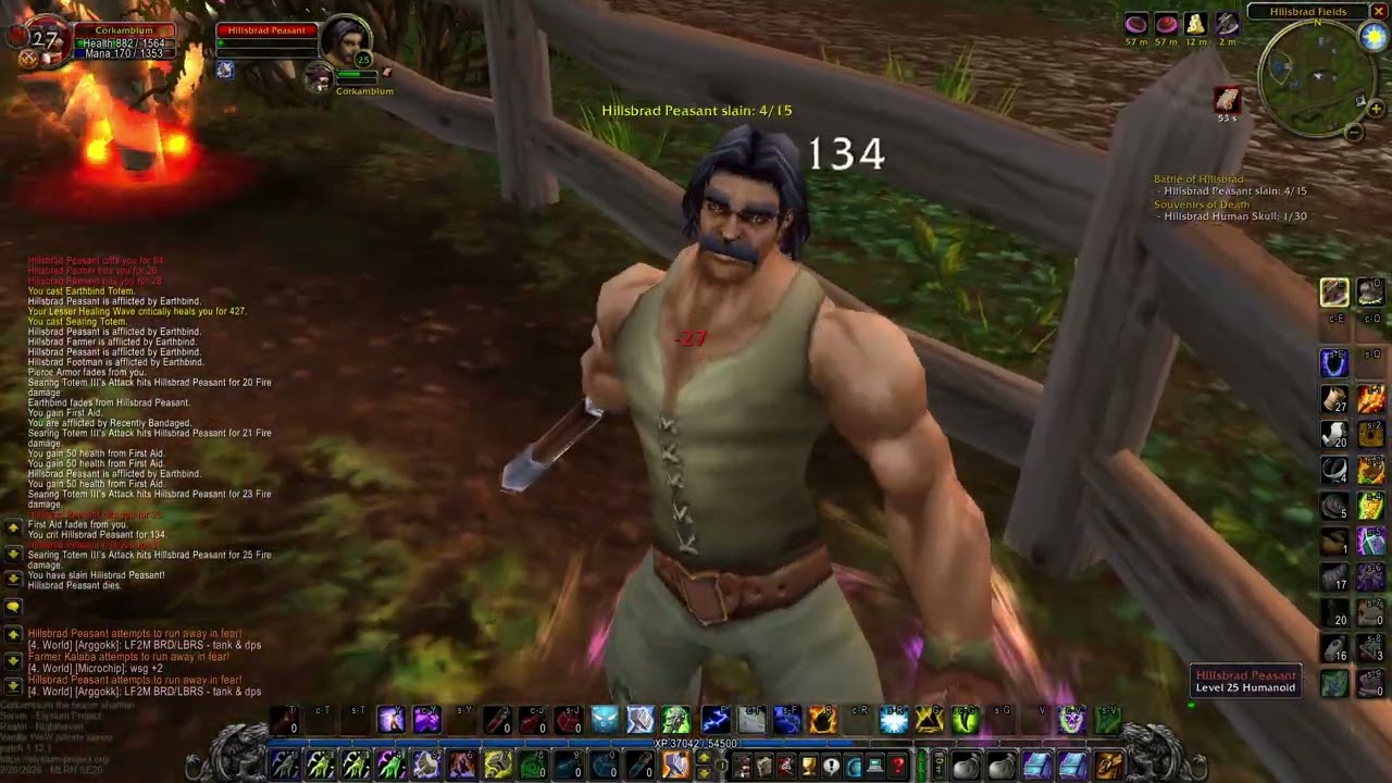 Corkambium lvl 32 - 34 questing Hillsbrad foothills