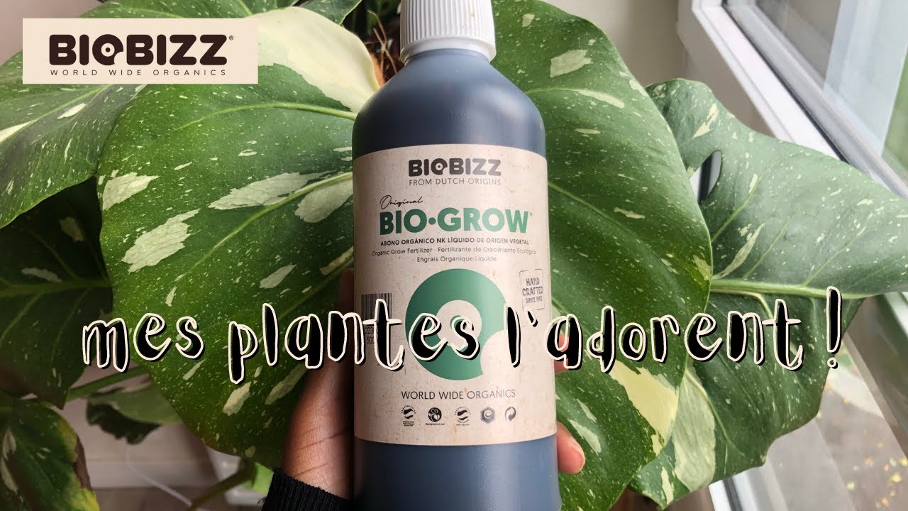 Engrais + Terreau BIOBIZZ : Mon retour d'expérience avec mes plantes d'intérieur !