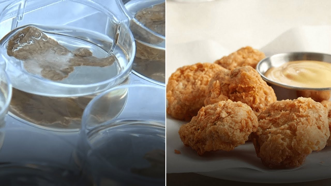 Singapore Approves Sale of Lab-Grown Meat - #ItsNews