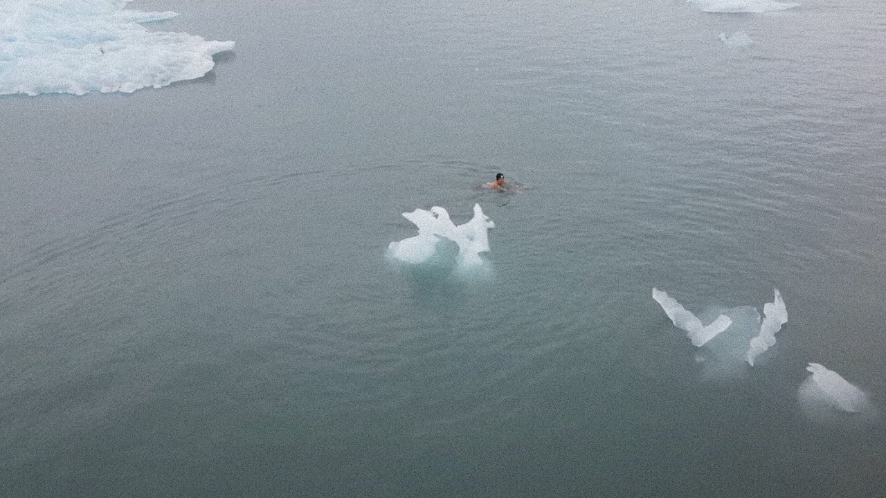 Swimming with the icebergs