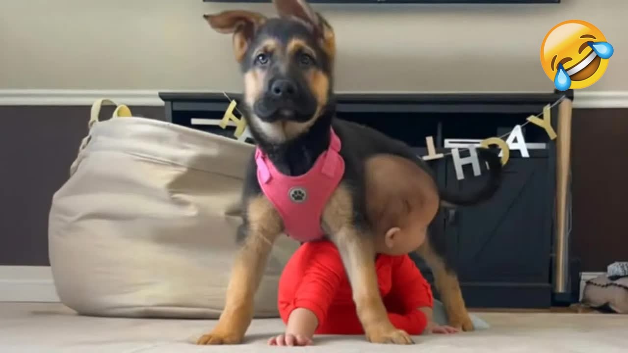 You Laugh You Lose 😹🐕 Dogs Protect Babies- Heartwarming Moments 🦴