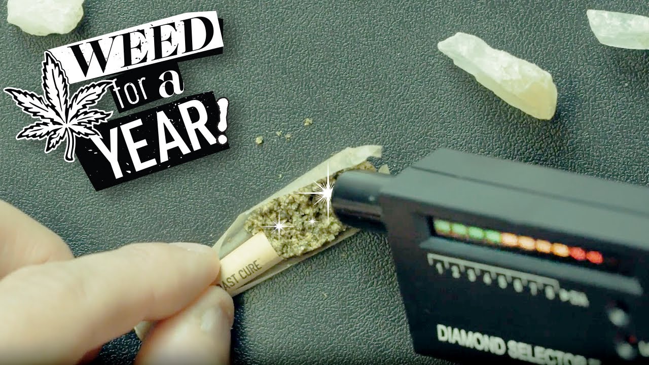 Learn How WCC Gave away Weed for a Year!