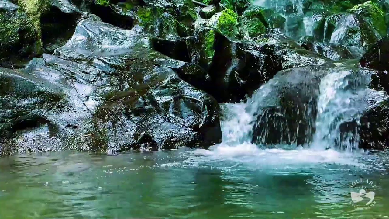 River Sounds for Sleeping Insomnia Relief Soothing Water to Fall Asleep Fast