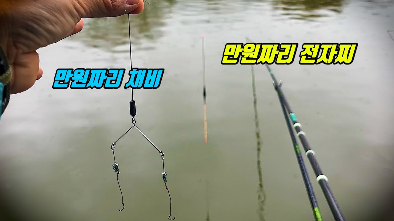 단돈 만원짜리 새로운 올림채비로 향붕어 50마리 타작하다!!!??