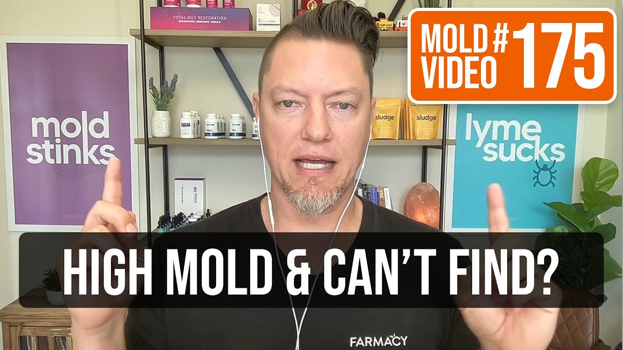 How to find mold in home when tests show high but we can&rsquo;t find it?