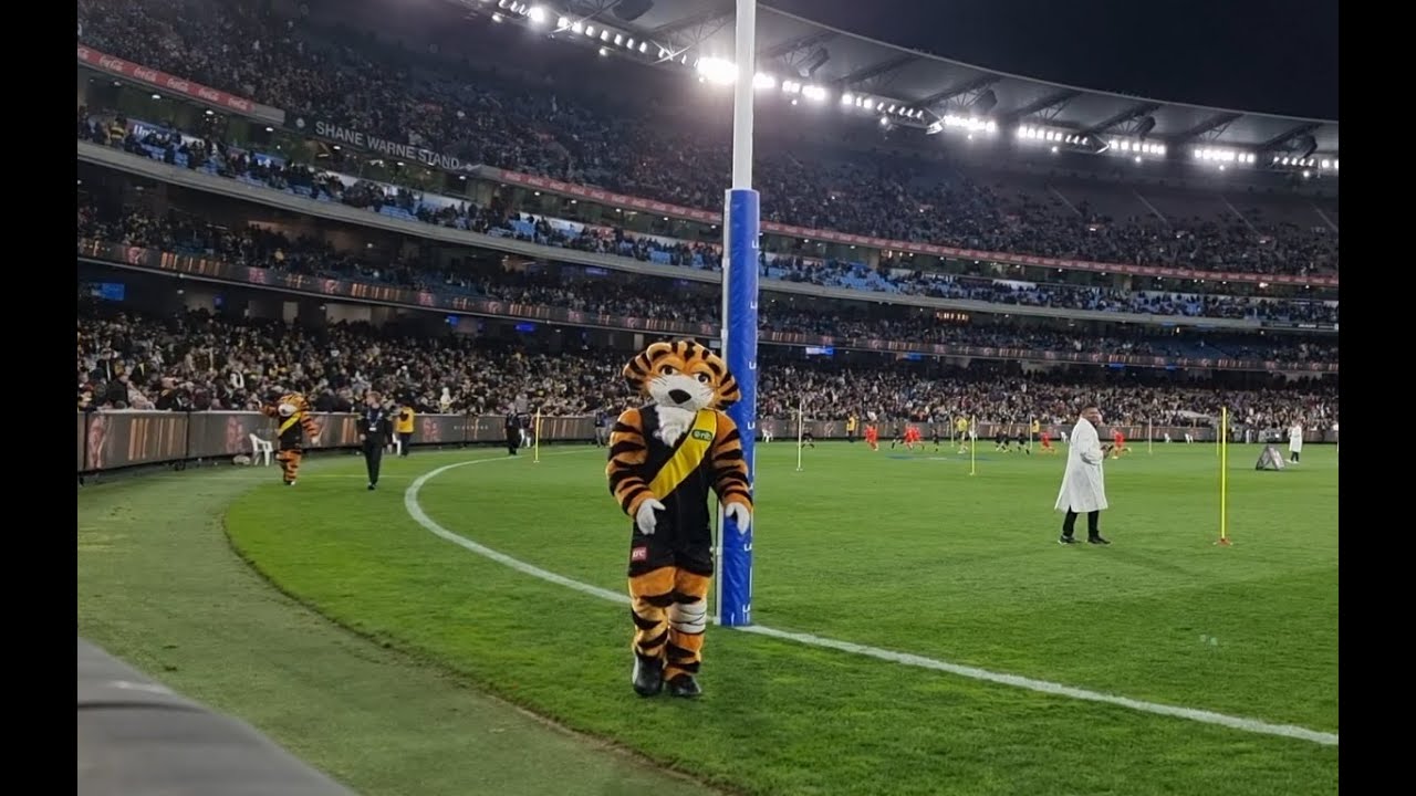 AFL Richmond Tigers mascots Anzac Round MCG 2024