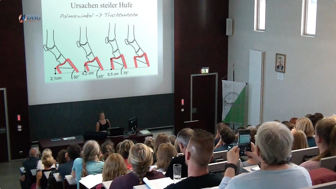 Steile Hufe und das Leiden der Korrektur