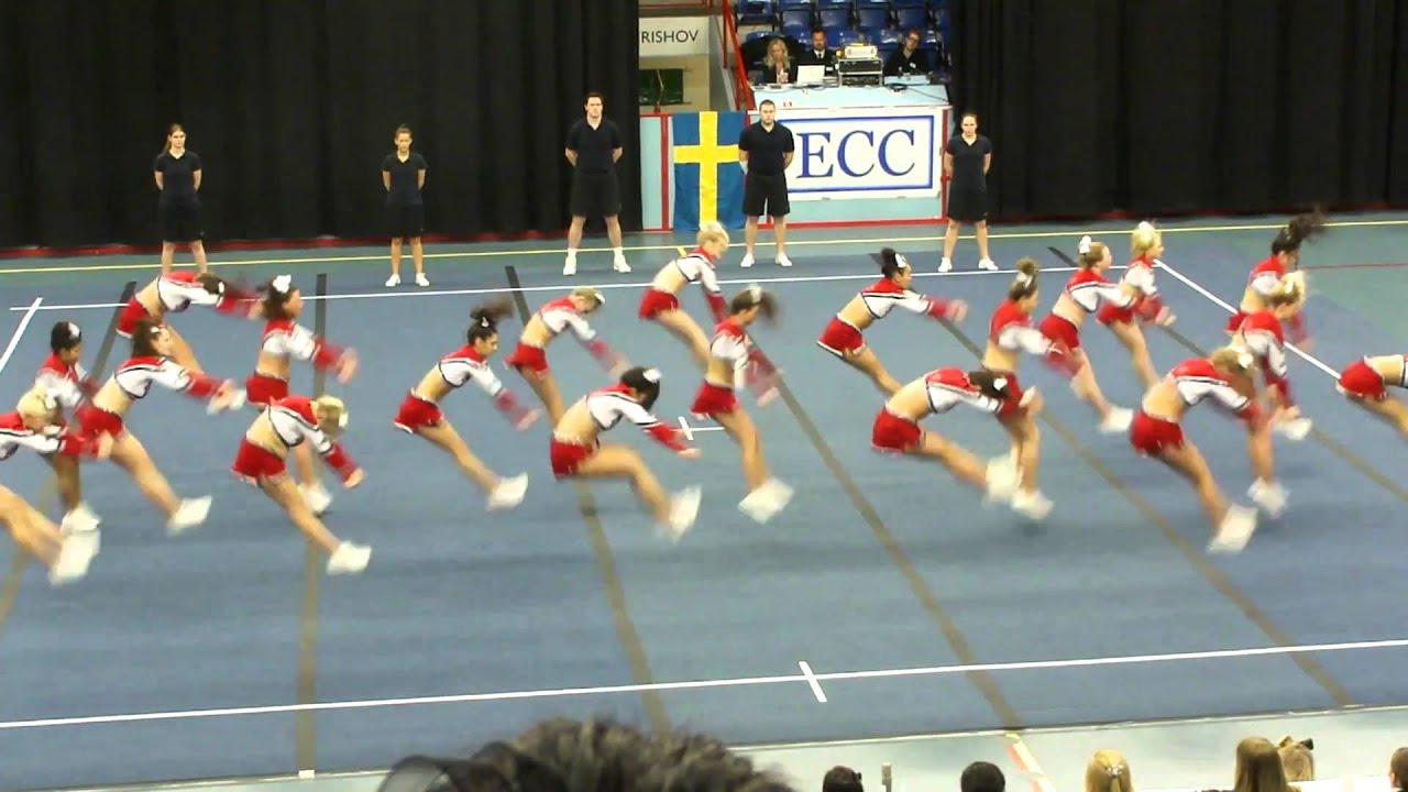 Dynamite Dolphins DM 2011