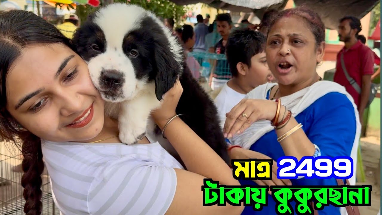 Kolkata Dog Market. Serampore Pet Market. Kolkata Pet Market.