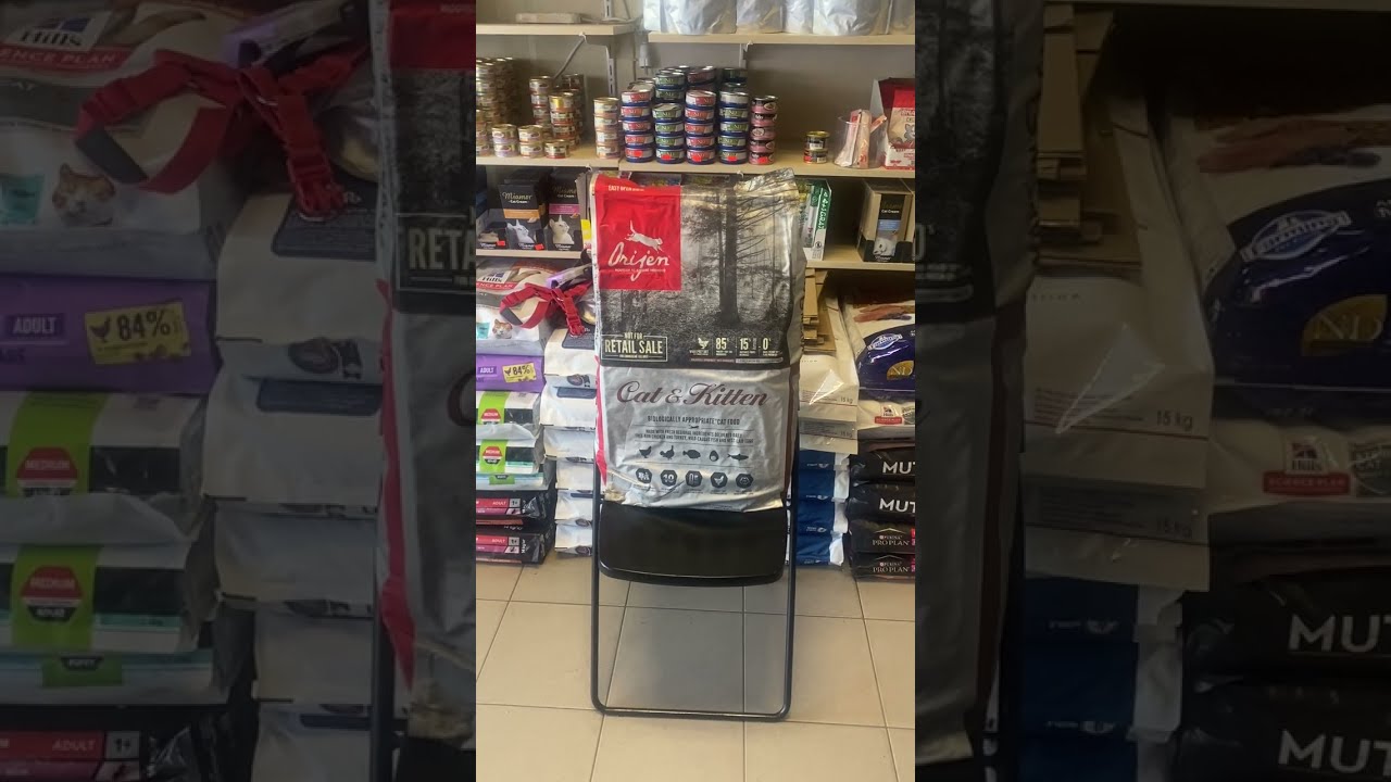Orijen cat kitten kedi mamasi paket acilisi