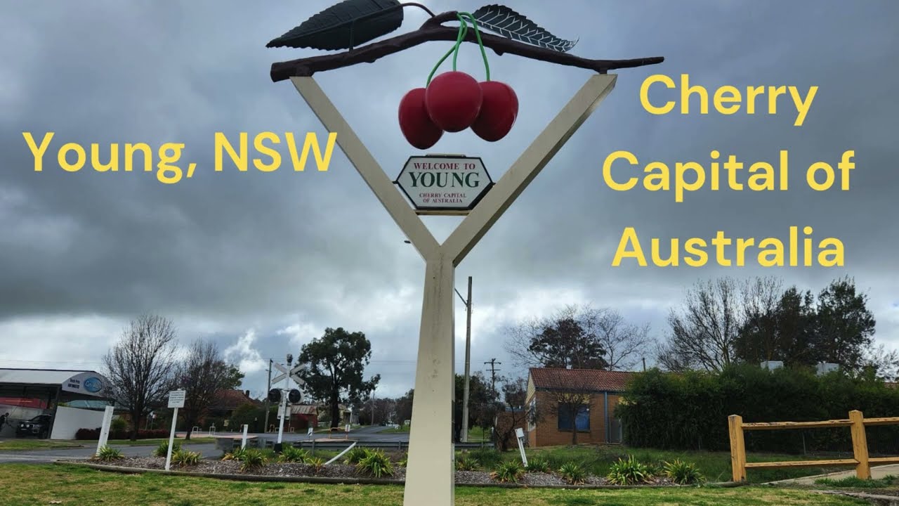 A Visit to Young, NSW: Inside the Cherry Capital of Australia !