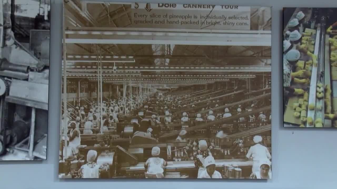Remembering the golden age of Dole Cannery when pineapple was king