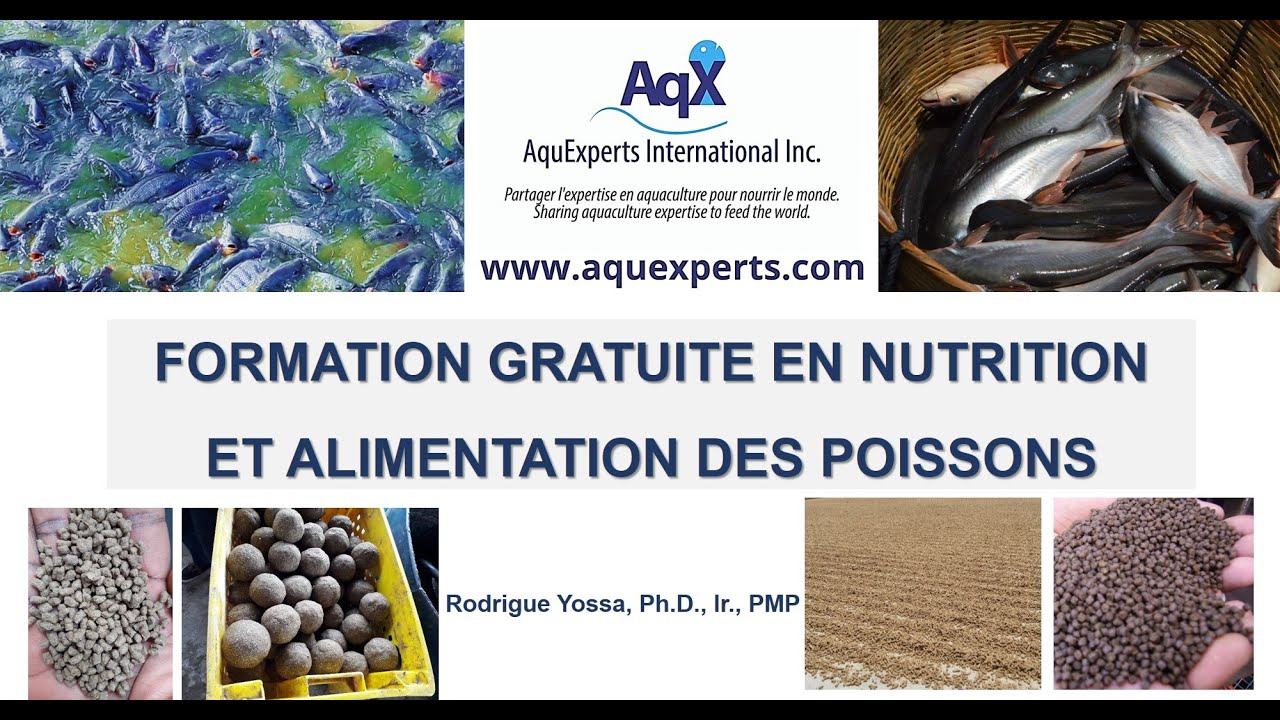 Formation gratuite en nutrition et alimentation des poissons