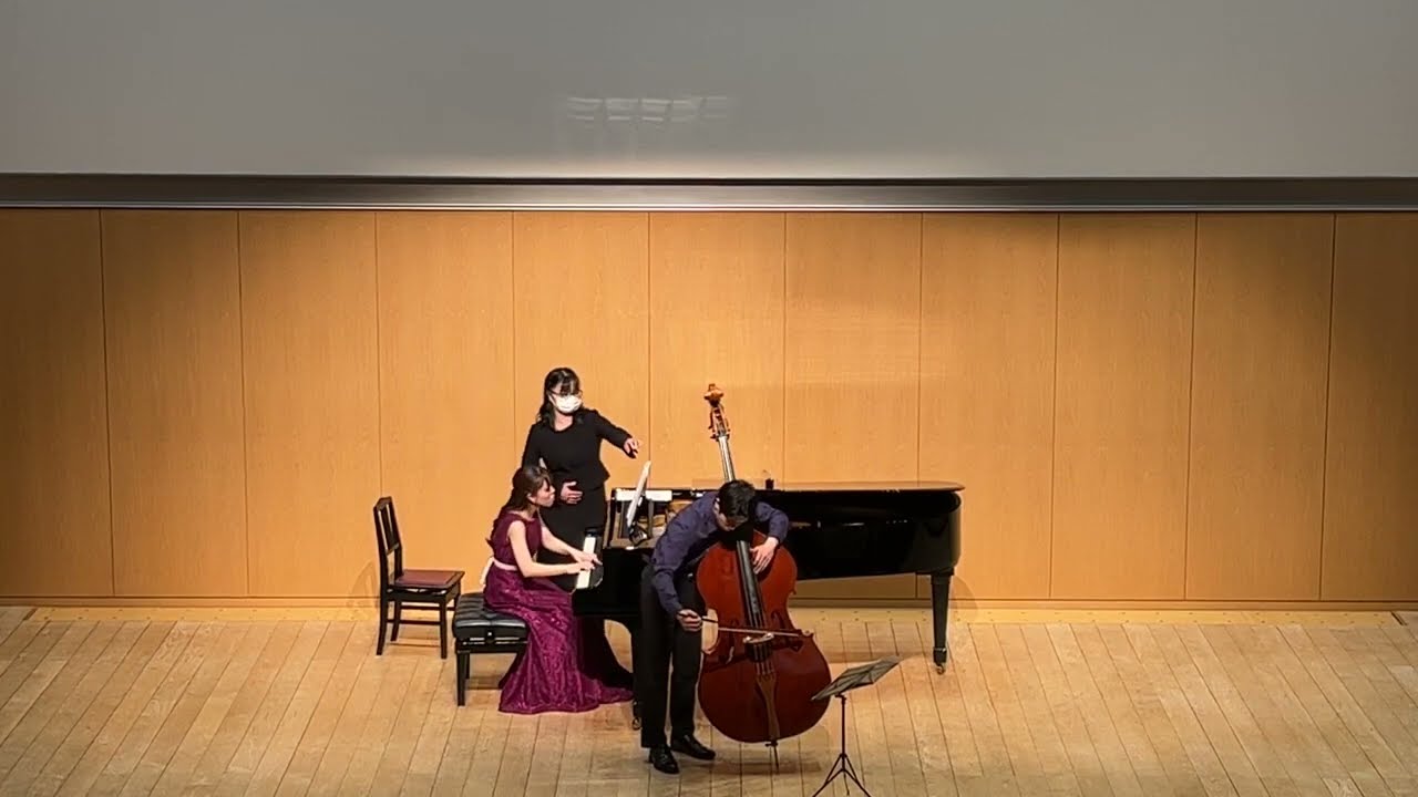 Robert Schumann: Adagio und Allegro Op.70