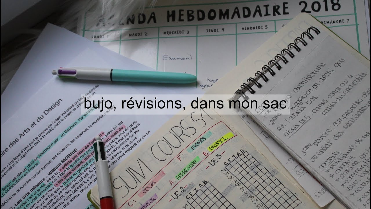 MON ORGANISATION À LA FAC