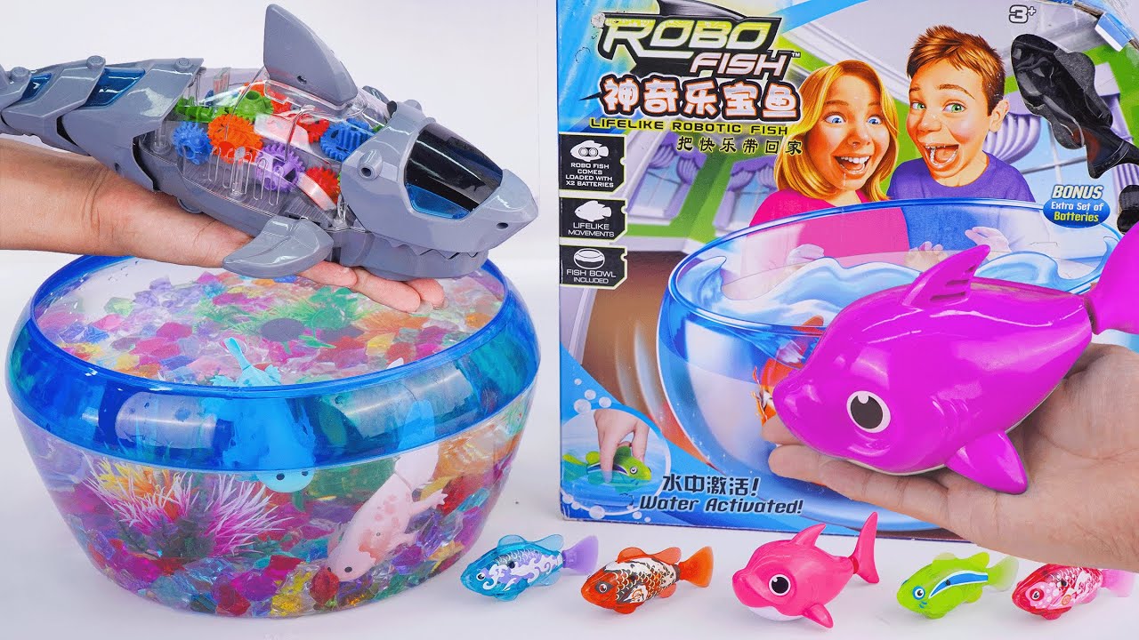 [Toy asmr] Baby Shark & Zuru Robo Fish & Aquarium Playset & RC Shark ASMR Satisfying with Unboxing