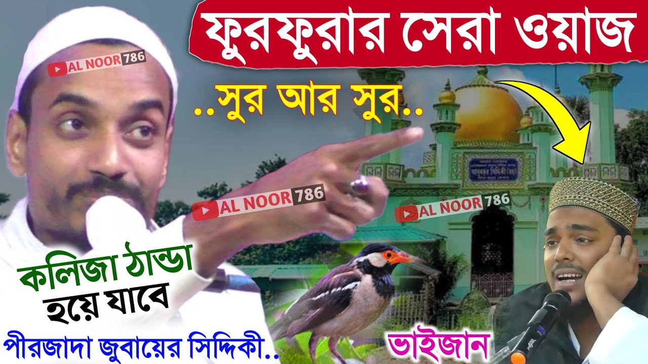 ফুরফুরার সেরা ওয়াজ | পীরজাদা জুবায়ের সিদ্দিকী | Pirzada Zubair Siddiqui | Bangla waz 2023 furfura