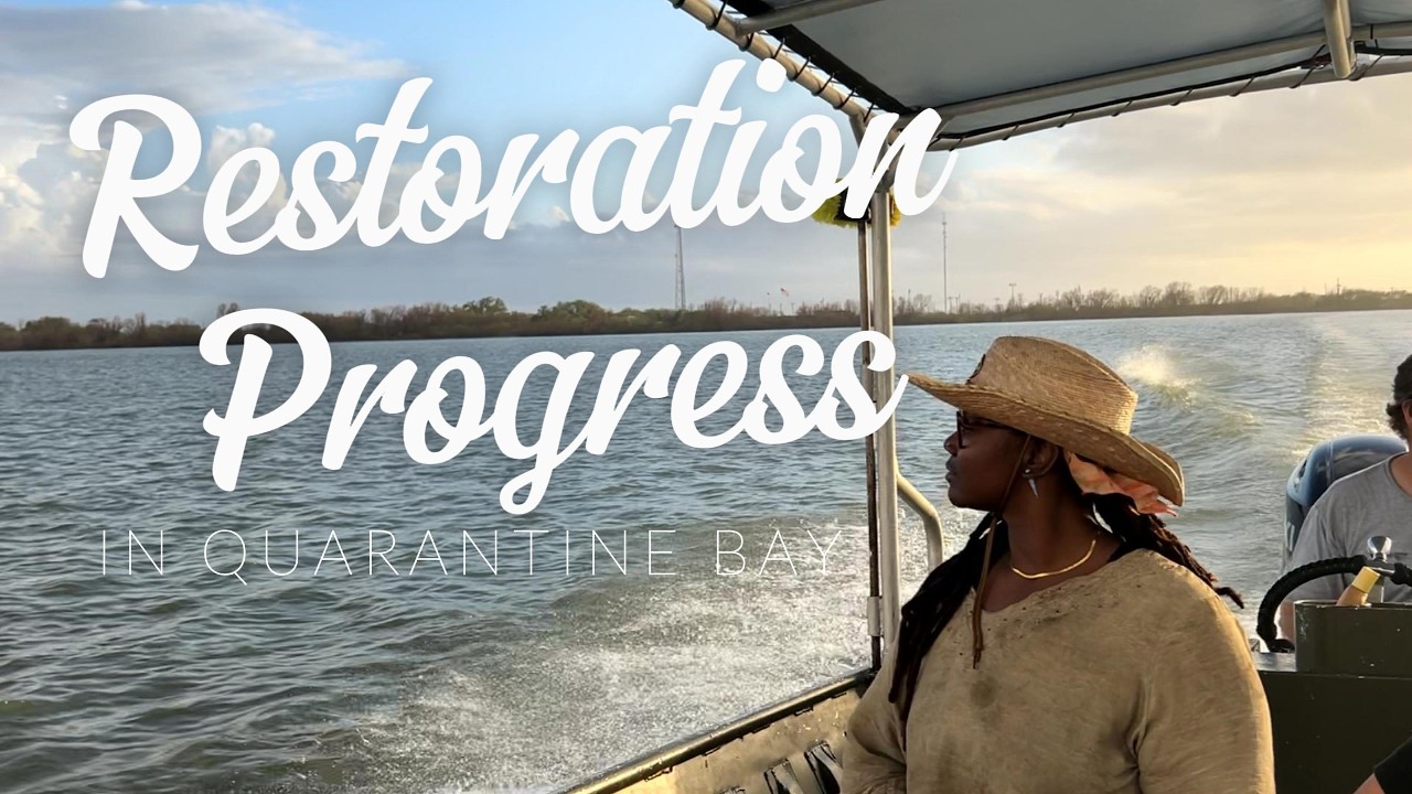 restoration progress check in quarantine bay.