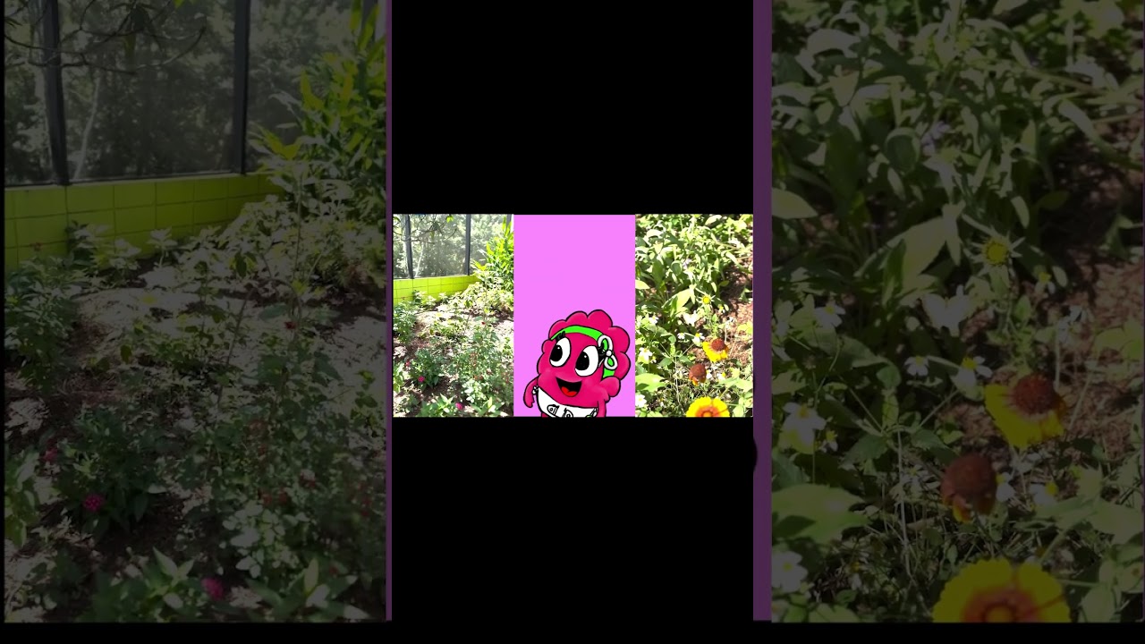 I am Exploring Part 3! #song #kids #babyberries #educationpositive #cutecharacters #animation