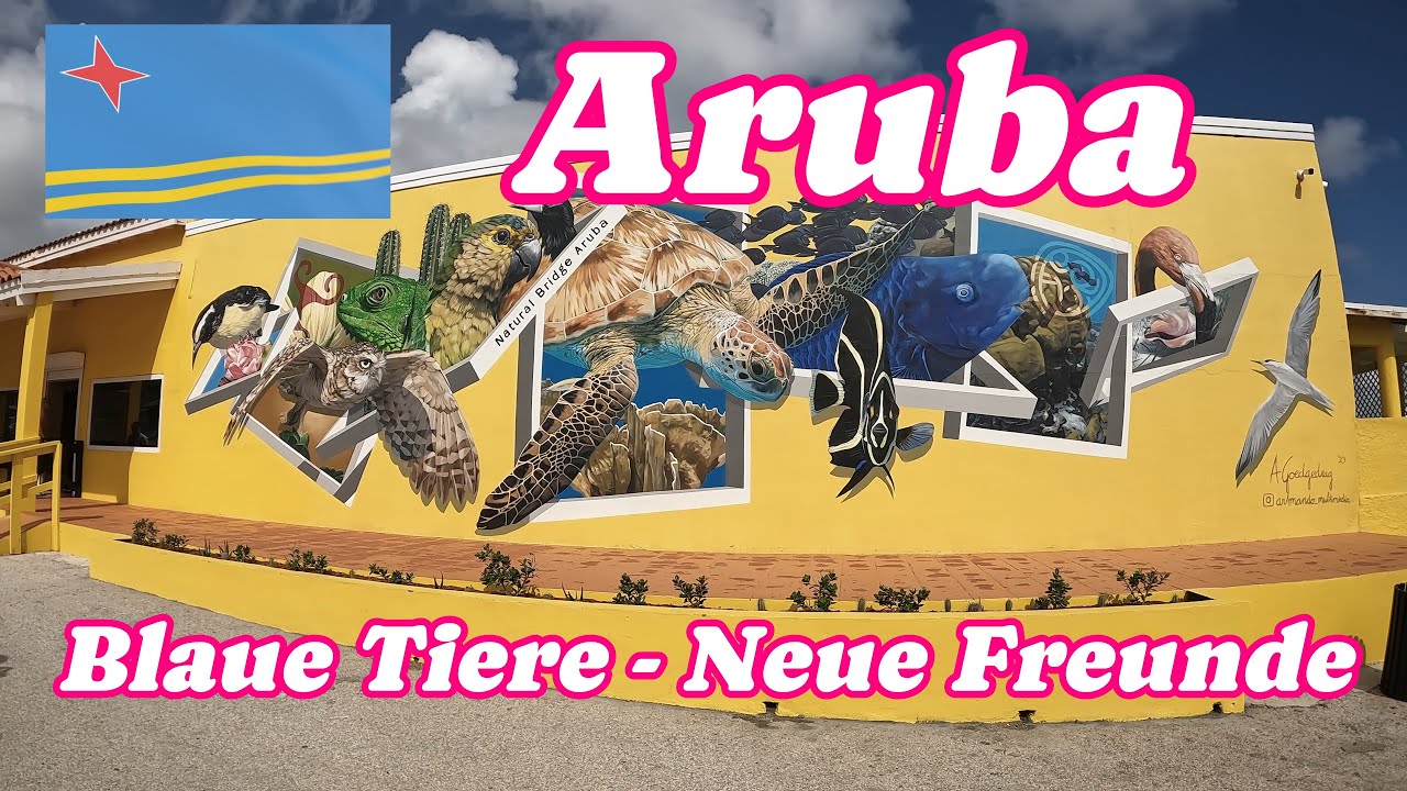 VLOG 003 Aruba – Blaue Tiere - Neue Freunde