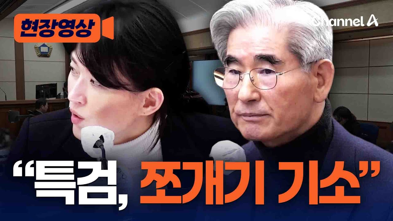 김용현 변호인 