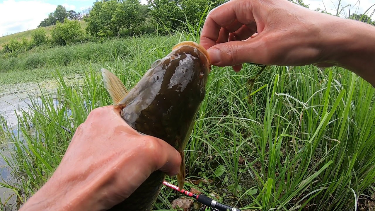Pêche en Loire qui tourne mal