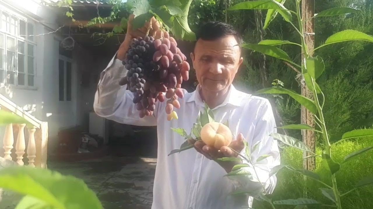 19 ФЕВРАЛДАН 21 МАТГАЧА   ОБ ХАВОНИ ХАРАКТЕРИ.МОХИ ОЙИ КИРДИ