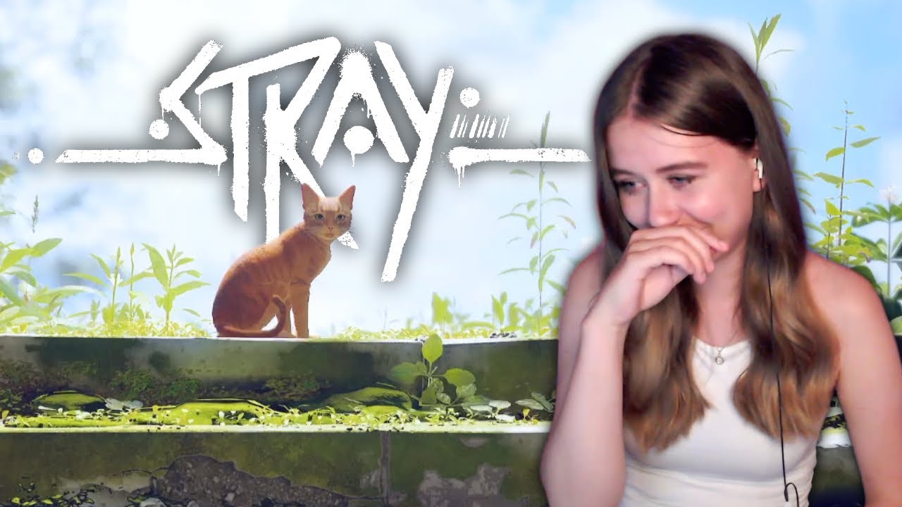 FREEDOM? | Stray | Part 5 (ENDING)