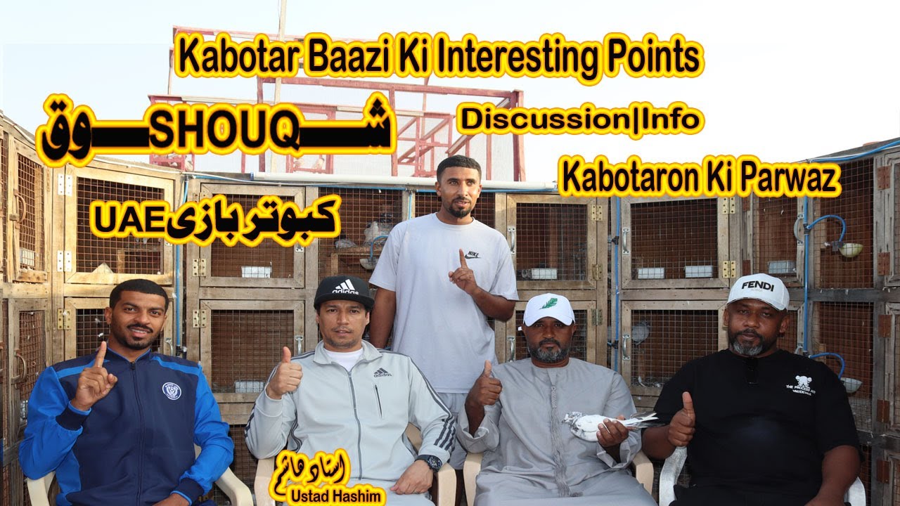Kabotar Baazi Ki Interesting Points|Ustad Hashim|Kabotron Ki Udhaan|Discussion|Tip|Info|UAEكبوتربازي