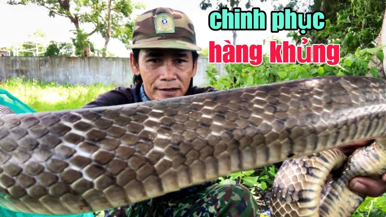 Chinh Phục Được Con Rắn Siêu Khủng Cái Kết Quá Buồn
