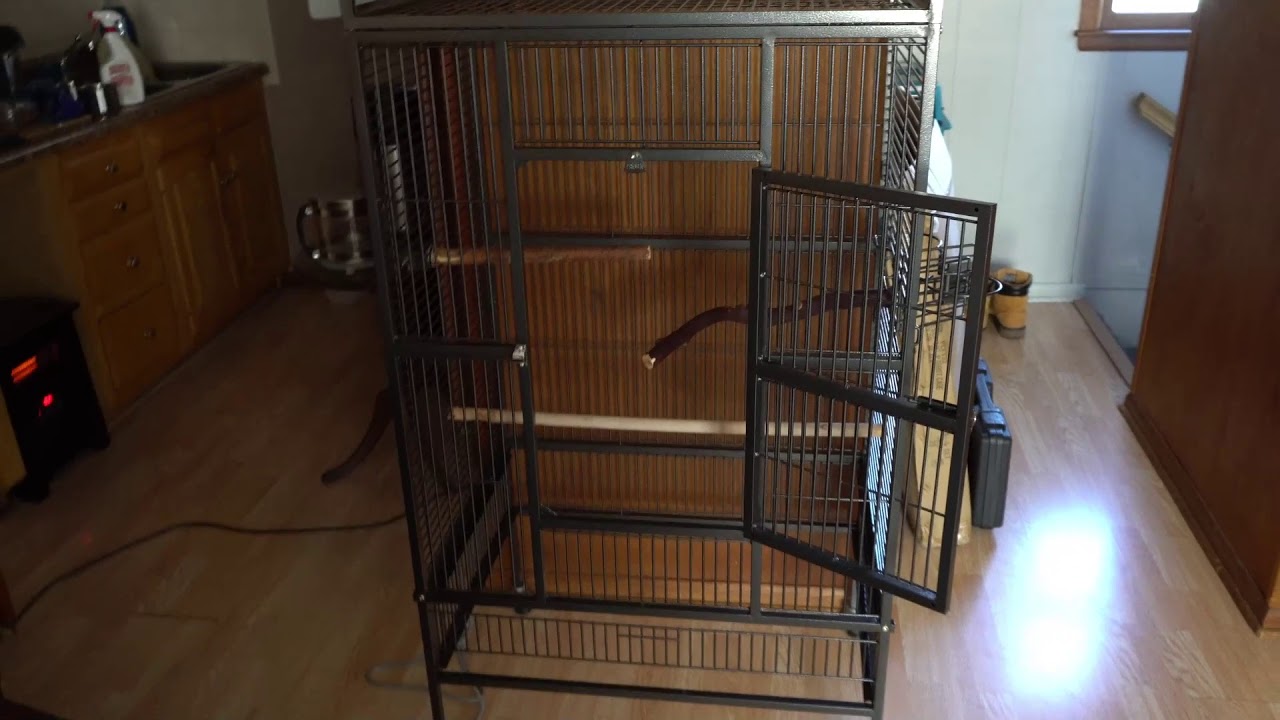 How to deep clean and sanitize a parrot bird cage properly
