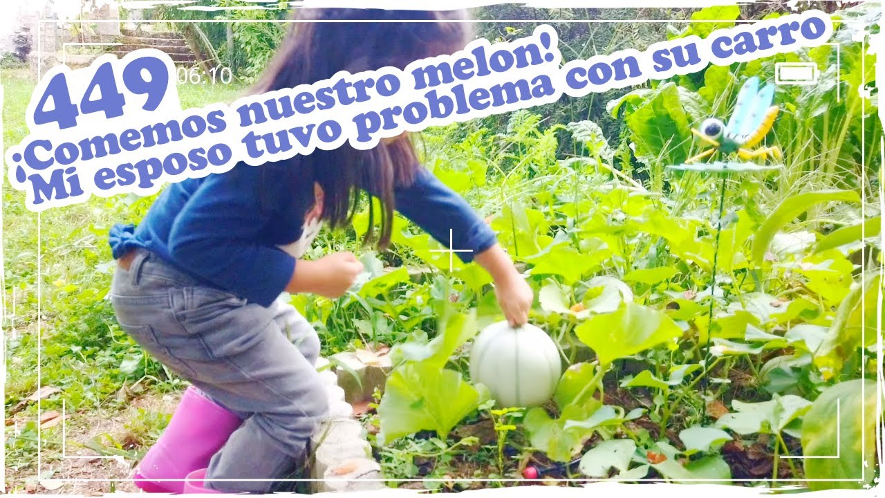 🍈 ¡Comemos nuestro melon! Mi esposo tuvo problema con su carro 🍈 ~ Mandarina con Mate