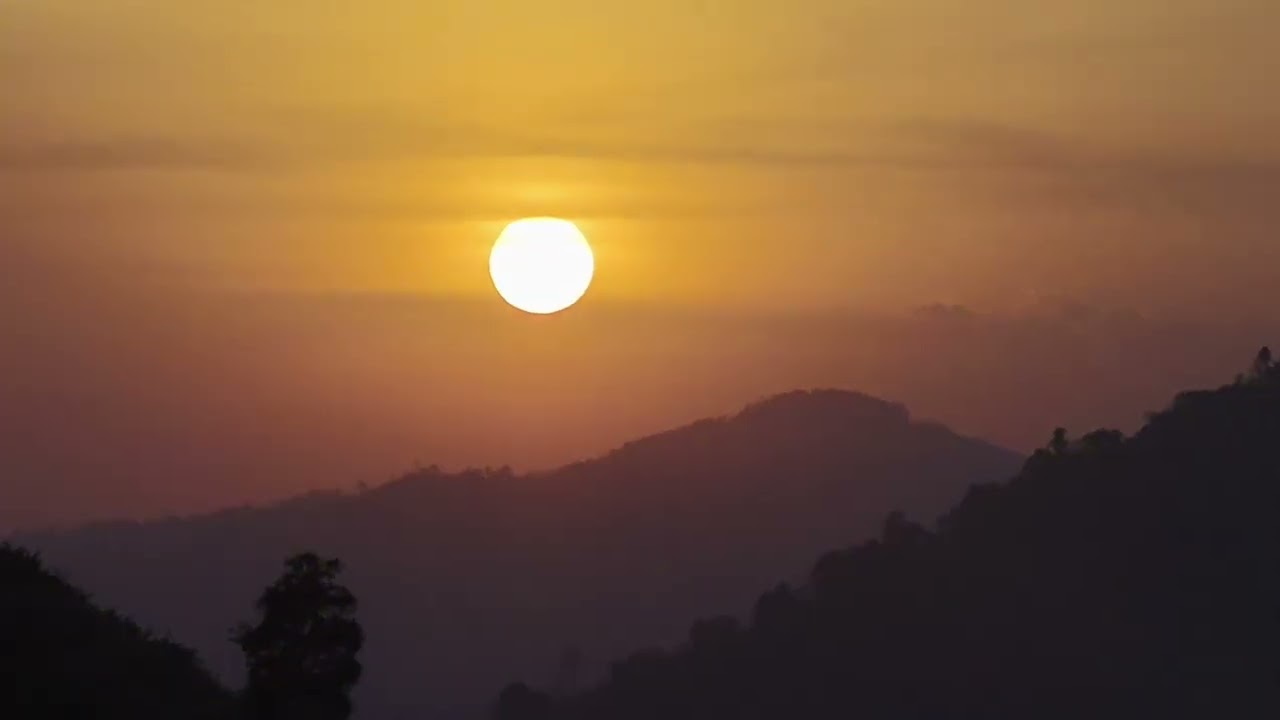 Beautiful Sunset Sound Bird Sound Nature | Relax Everynight