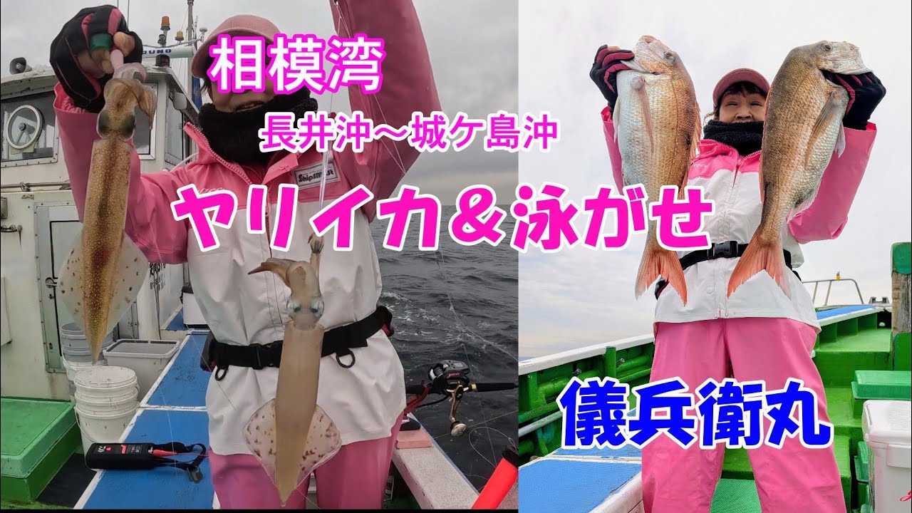 長井沖～城ヶ島沖でヤリイカポチ乗り、オーラスで泳がせヒット！！