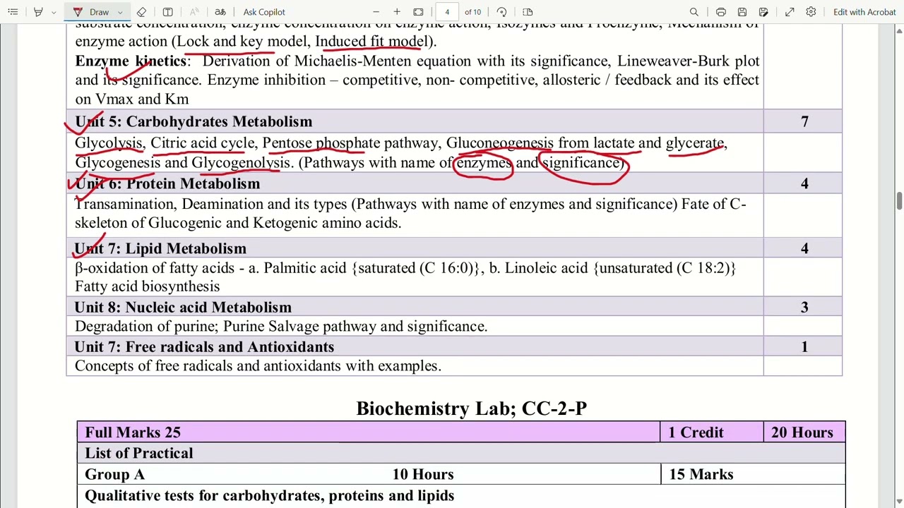 zoology honours semester-2 syllabus calcutta university 2025