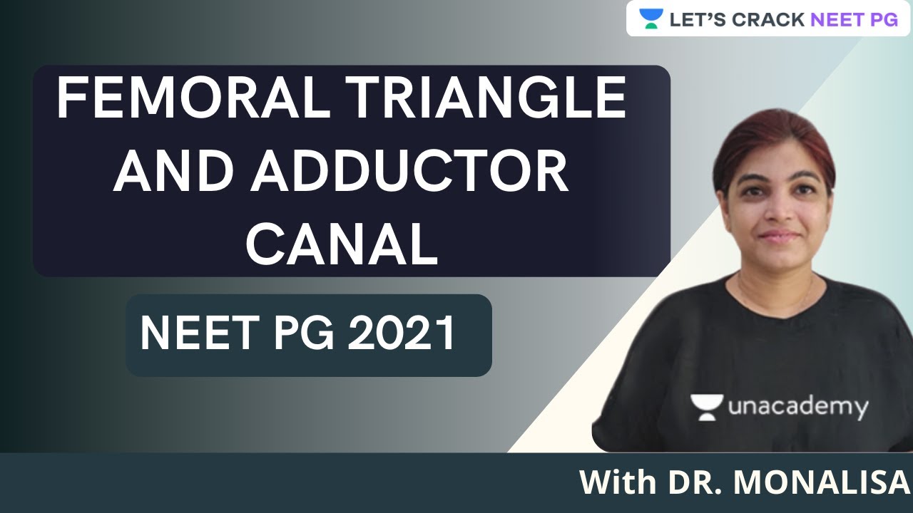 Femoral Triangle and Adductor Canal | Conceptual Anatomy | NEET PG | Dr. Monalisa