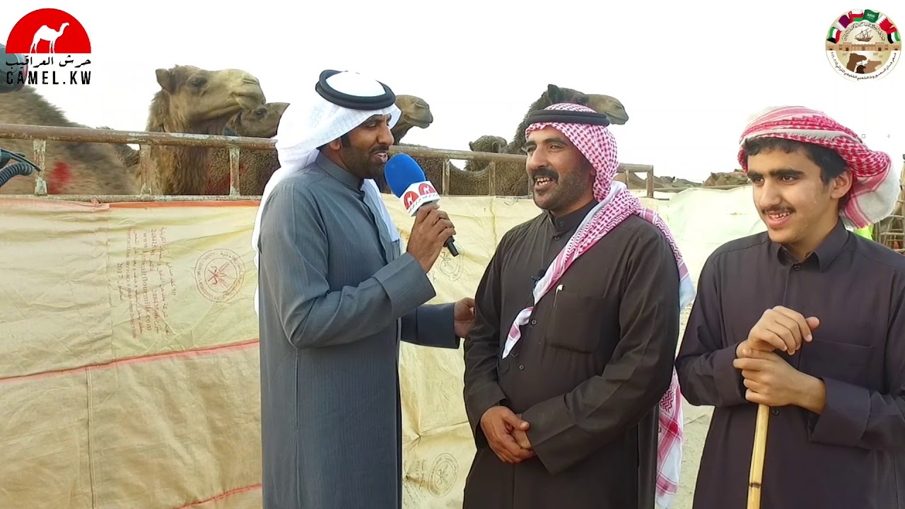 تغطية مسابقة  الهجيج  في الموروث الشعبي  في دولة الكويت