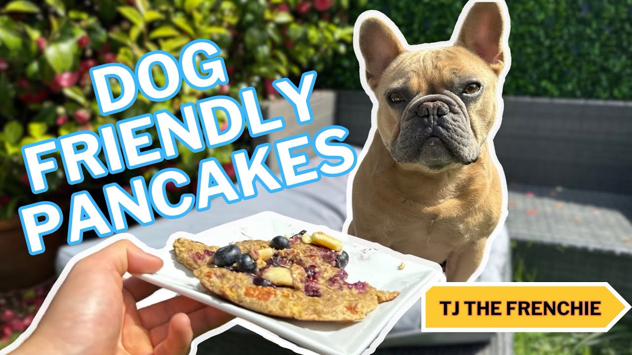 Dog Friendly Pancake Recipe 🥞🐶